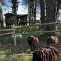 RESERVER LA CABANE DU HERON