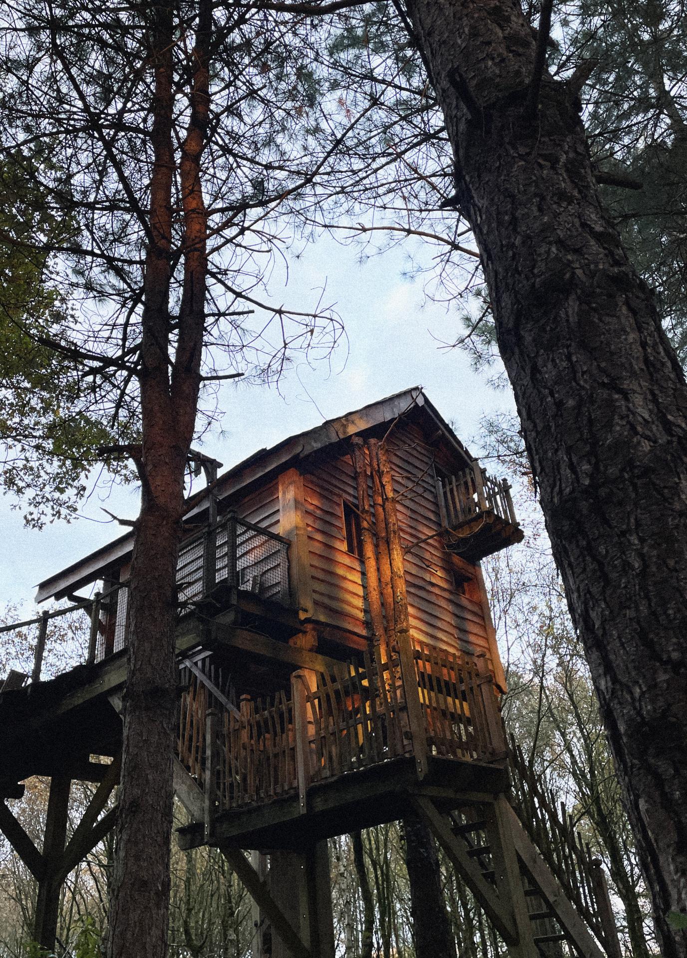 cabane de l'écureuil