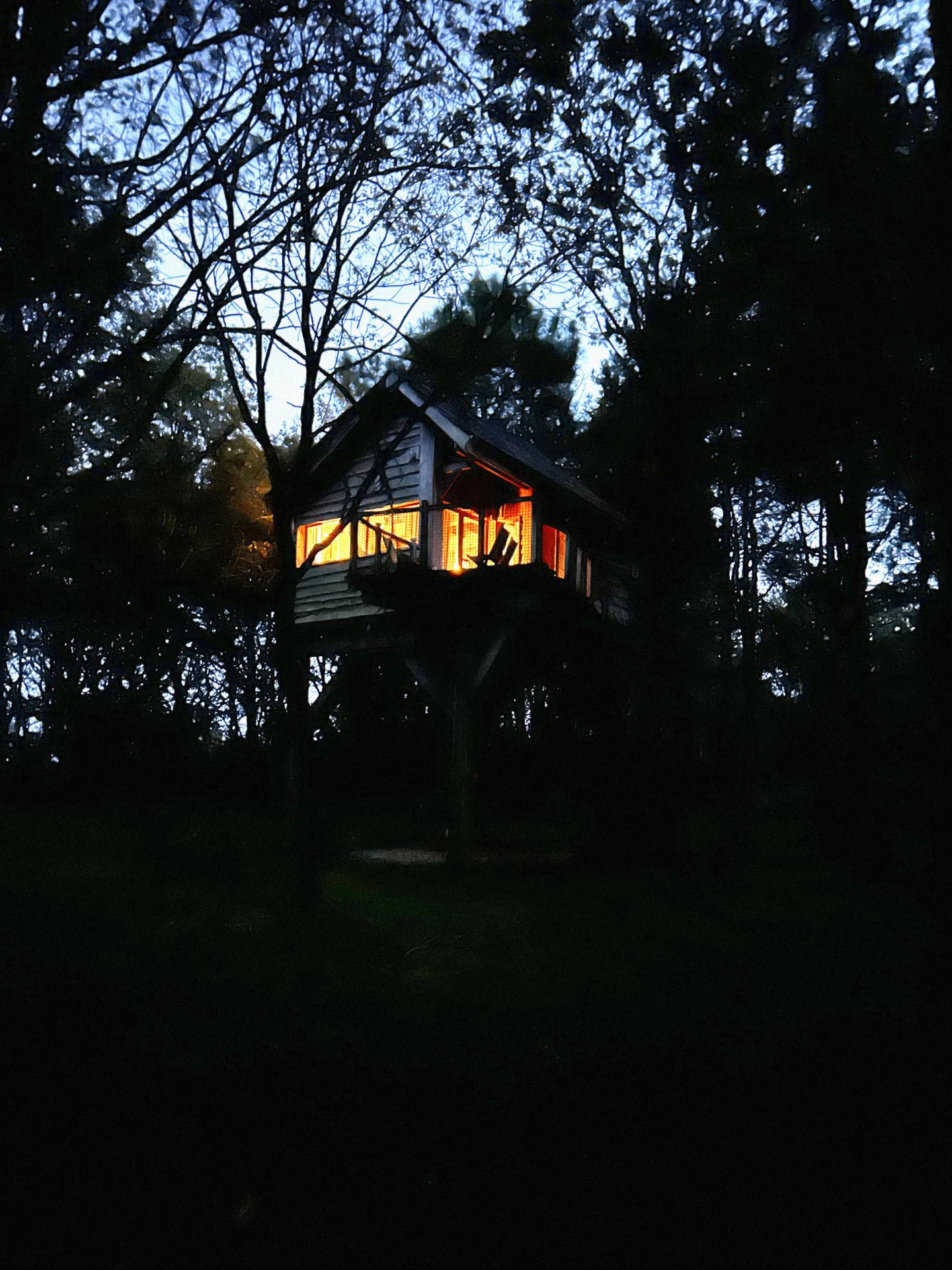 cabane de l'écureuil